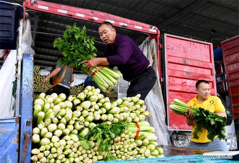 Chine : approvisionnement en produits agricoles à Zhengzhou