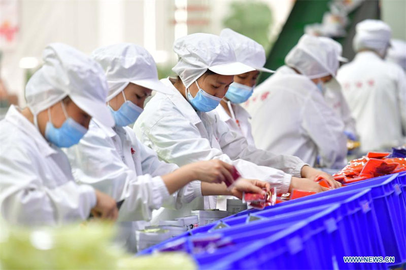 L'industrie du Luosifen est en plein essor à Liuzhou, dans le sud de la Chine