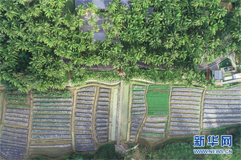 Hainan : Haosheng, un petit village de pêcheurs empreint d'éléments aérospatiaux