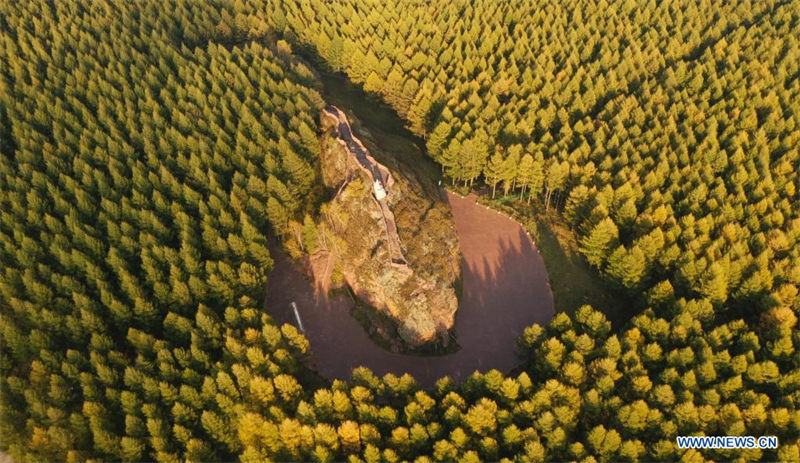 Chine: paysage automnal de la ferme forestière de Saihanba au Hebei