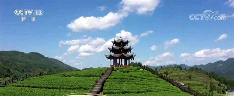 La construction d'une zone touristique de la culture du thé dans le village de Wujiatai, dans le Hubei