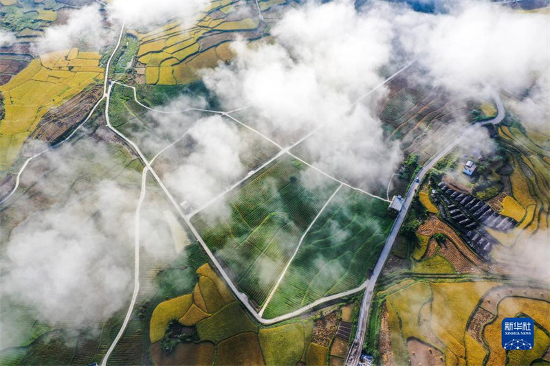 Une vue matinale du bourg de Wantanhe, dans le comté de Longli de la préfecture autonome Buyei et Miao de Qiannan, dans la province du Guizhou (sud-ouest de la Chine), prise le 21 septembre (photo aérienne). (Yang Wenbin / Xinhua)