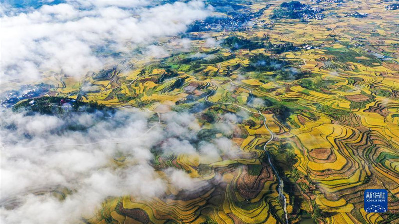 Guizhou : les beaux paysages dans les champs de la préfecture autonome Buyei et Miao de Qiannan