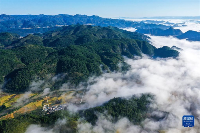 Guizhou : les beaux paysages dans les champs de la préfecture autonome Buyei et Miao de Qiannan