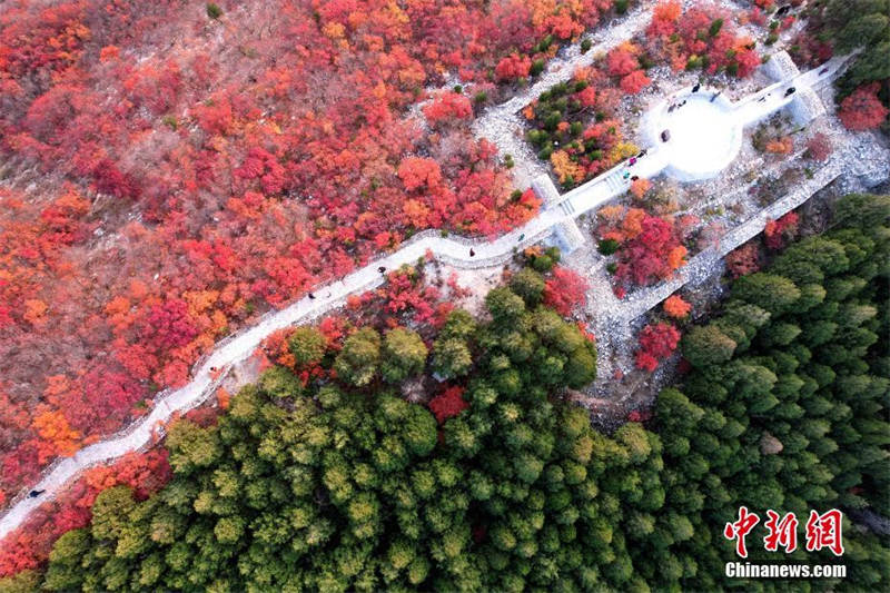 Vue aérienne du mont Xiezi à Jinan dans le Shandong, moitié vert et moitié rouge