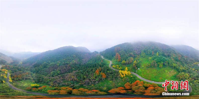 La superbe forêt colorée du mont Zhaogong à Dujiangyan, dans le Sichuan