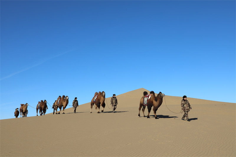 Un peloton civil patrouille la région frontalière de Mongolie intérieure à dos de chameau