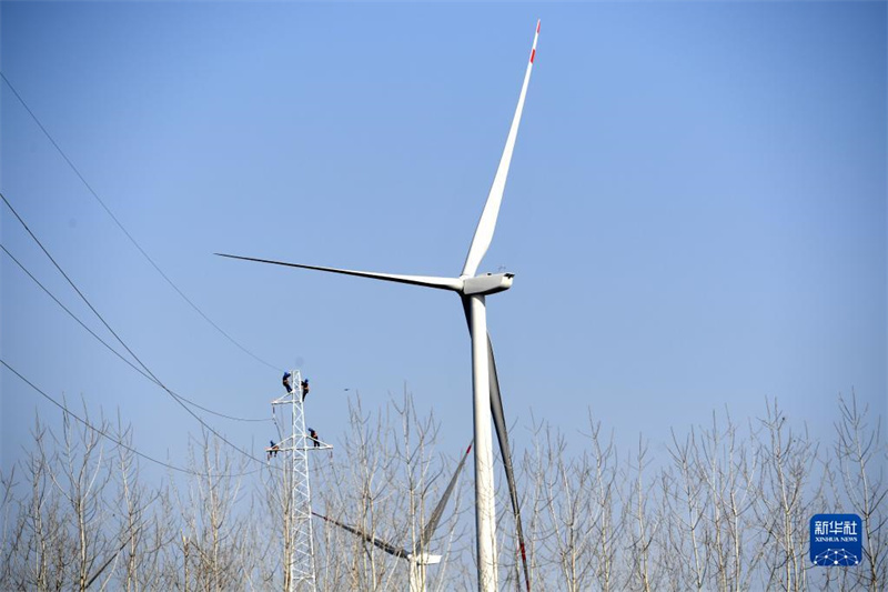 Un groupe de personnes « chasse le vent » le long d'une ligne d'énergie verte