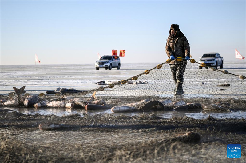 Jilin : des pêcheurs attrapent du poisson sur le lac Chagan