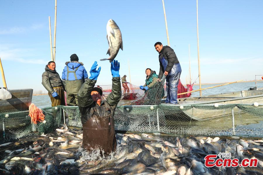 Une pêche hivernale exceptionnelle en cours dans la province de l'Anhui