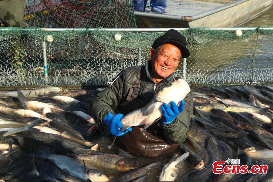 Une pêche hivernale exceptionnelle en cours dans la province de l'Anhui