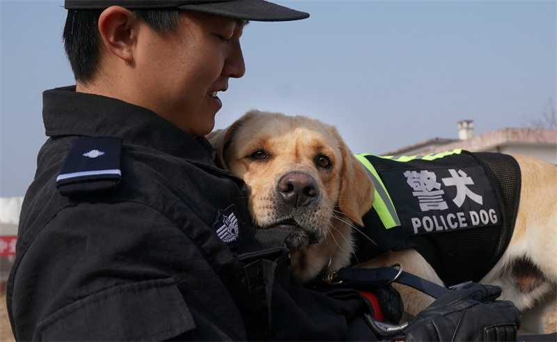 Wuhan : l'entraînement des chiens policiers pour préparer la Fête du Printemps