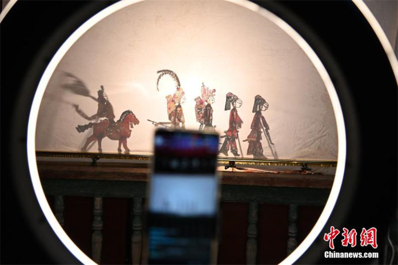Photo montrant le musée du comté de Weiyuan diffusant en direct un spectacle de théâtre d'ombres chinoises, à Dingxi, dans la province du Gansu (nord-ouest de la Chine), le 13 janvier 2022. (Wang Hong/China News Service)