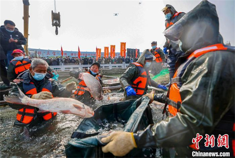 Jiangsu : la saison de la pêche d'hiver bat son plein à Taizhou