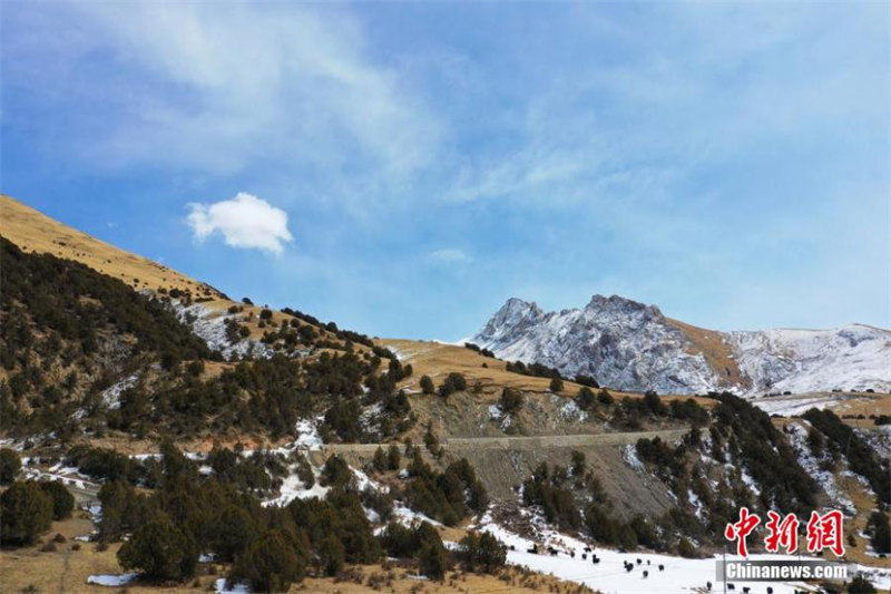 Les paysages de neige du Parc national de Sanjingyuan vus du ciel