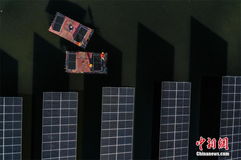 Anhui : une centrale solaire de 110MV construite dans une ferme piscicole