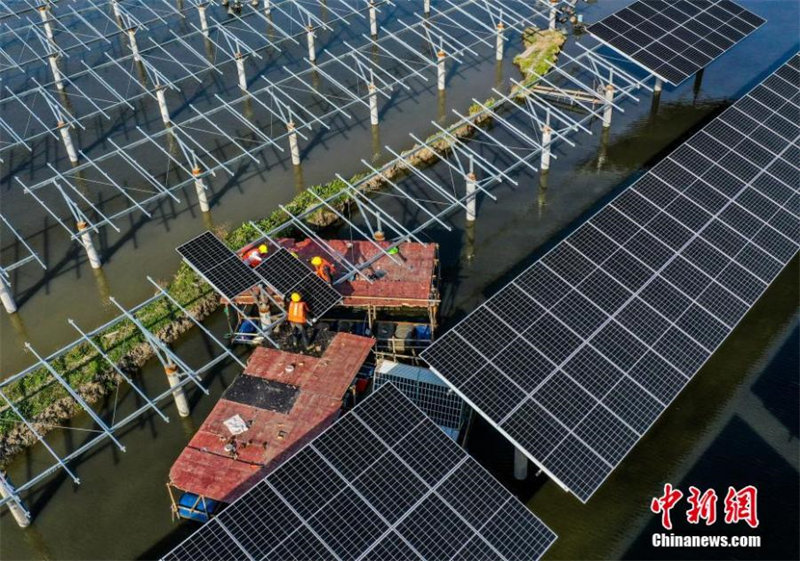 Anhui : une centrale solaire de 110MV construite dans une ferme piscicole