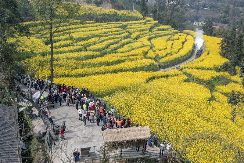 Sichuan : le petit train qui se dirige vers le printemps