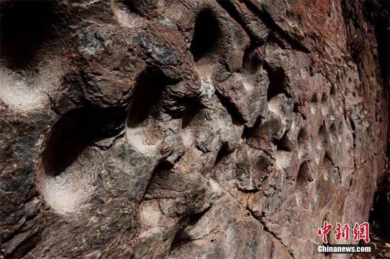 Un ensemble de pétroglyphes découvert dans une grotte dans la province du Qinghai