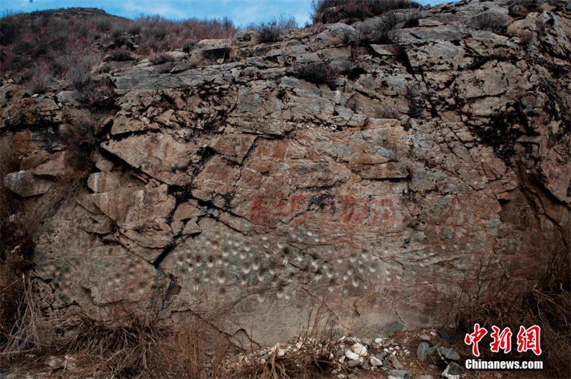 Un ensemble de pétroglyphes découvert dans une grotte dans la province du Qinghai