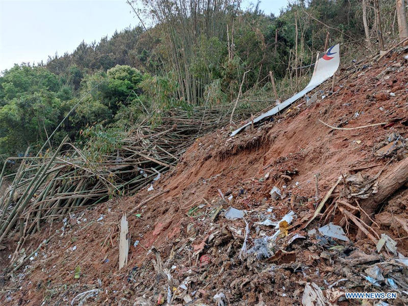 Crash d'un avion de passagers dans le sud de la Chine