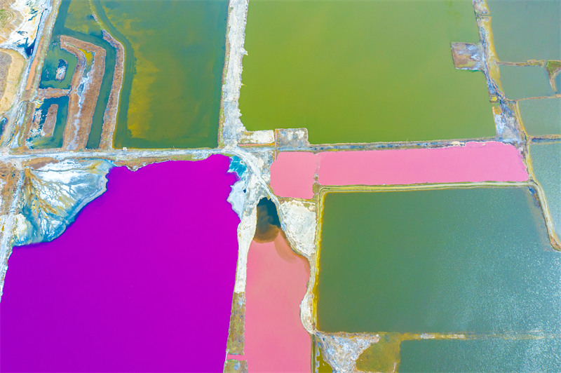Shanxi : au début du printemps, le lac salé de Yuncheng devient le « lac rose »