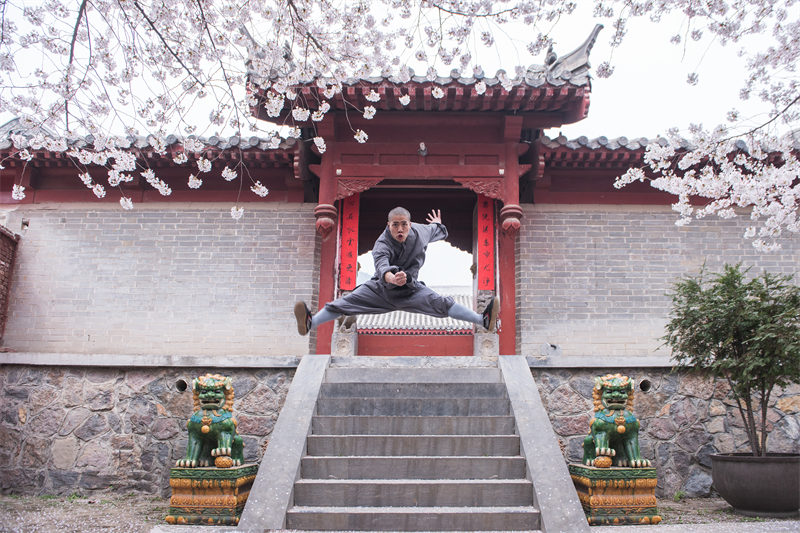 Les moines de Shaolin pratiquent les arts martiaux sous des cerisiers en fleurs