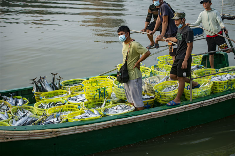 Hainan : une pêche fructueuse par un beau temps printanier