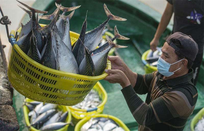 Hainan : une pêche fructueuse par un beau temps printanier