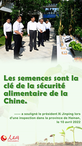Xi Jinping souligne la nécessité d'assurer la stabilité et la sécurité alimentaires de la Chine
