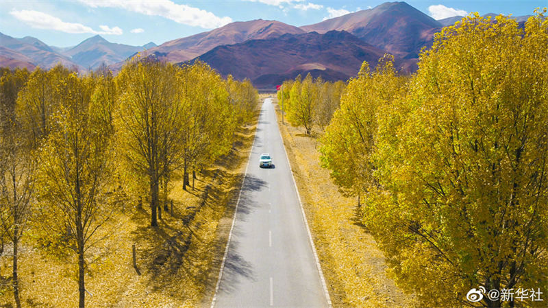 Le kilométrage total des routes rurales au Tibet dépasse les 90 000 km
