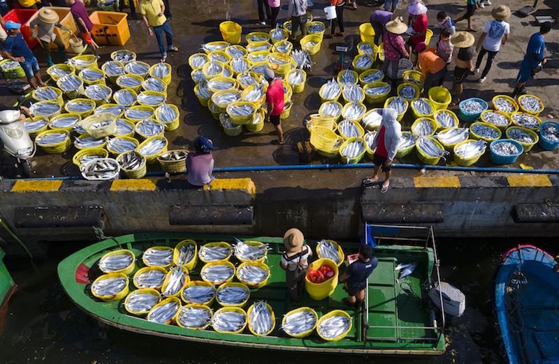 Hainan : le moratoire sur la pêche approche et la pêche bat son plein à Qionghai