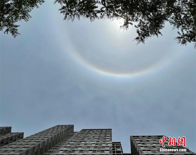 Un halo solaire observé dans le ciel de Beijing