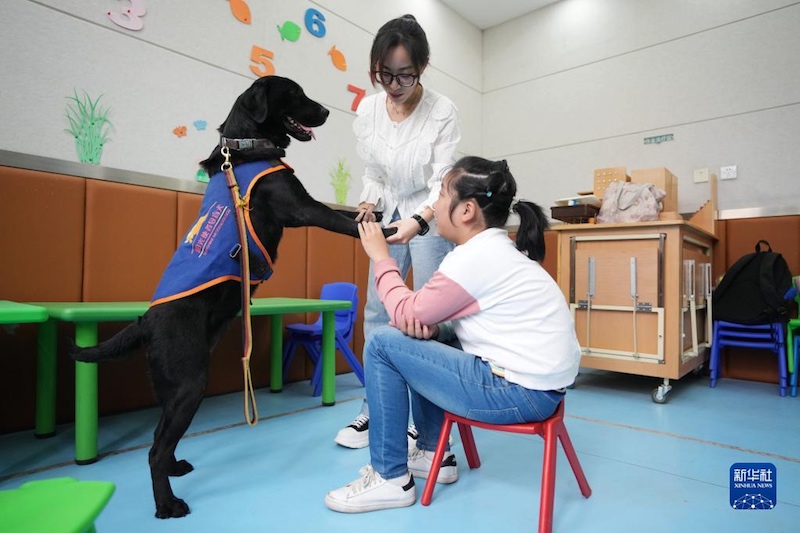 Les chiens d'aveugle réinsérés offrent des soins attentifs aux enfants autistes