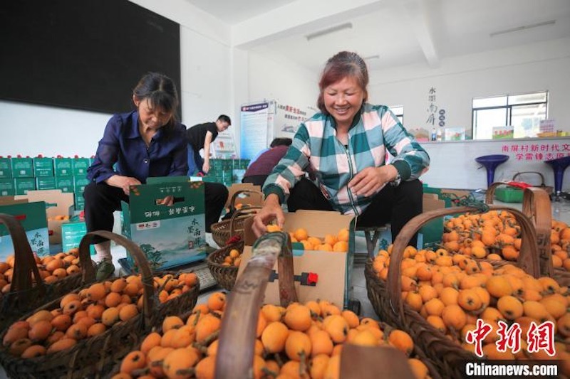 Anhui : 8 000 tonnes de bibaces récoltées dans le comté de Shexian