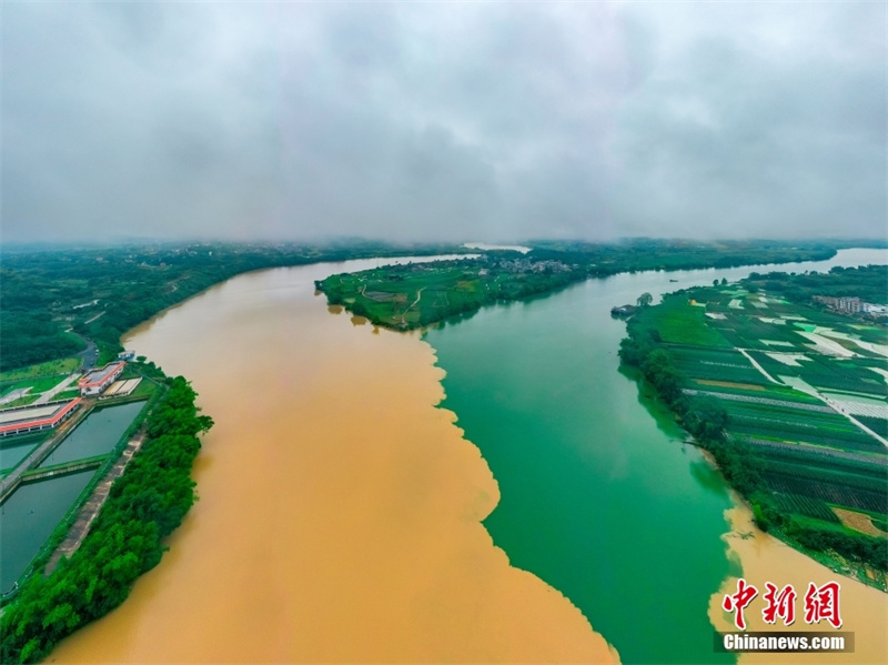 Guangxi : l'estuaire de Sanjiangkou marqué par un paysage de rivières en deux couleurs à Nanning