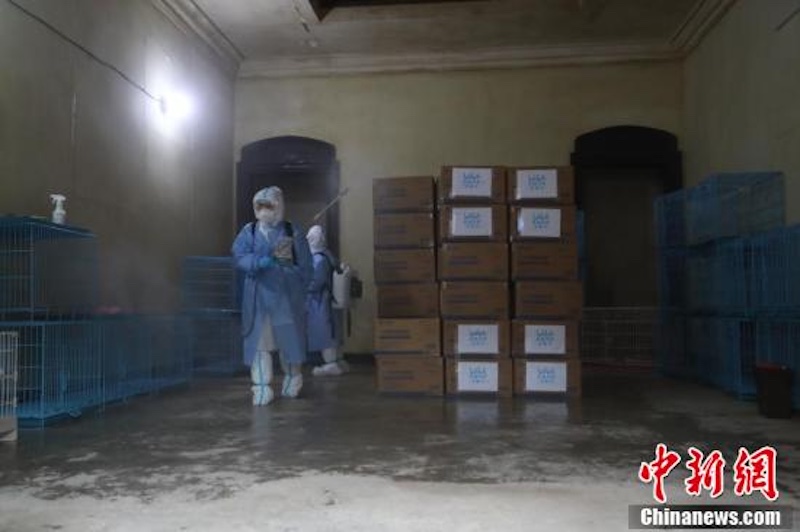 Le premier centre d'abri destiné aux animaux de compagnie des gens mis en quarantaine de Shanghai a terminé sa mission et a fermé