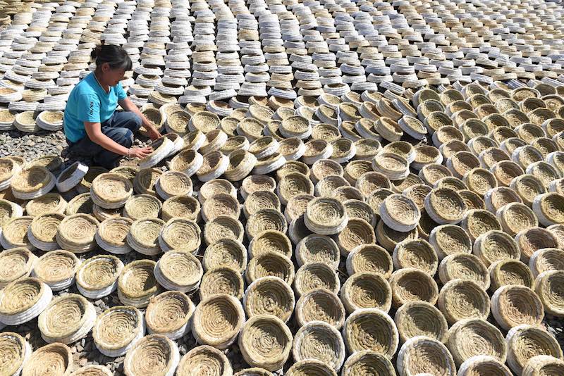 Shandong : transformer la paille en nid d'oiseau, une pratique qui augmente les revenus et protège l'environnement