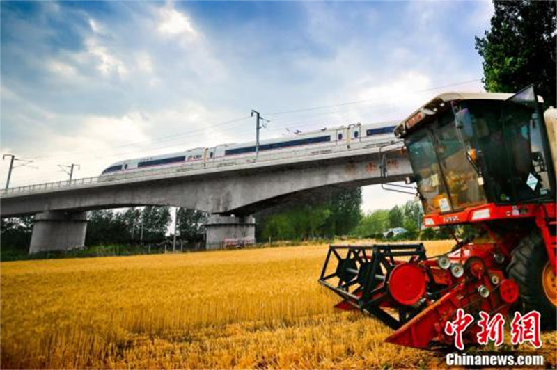 Henan : des trains à travers les champs de blé doré