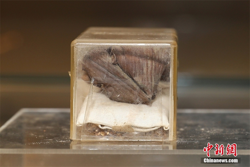 Que sont les plus anciens zongzi du monde, vieux de 748 ans ?