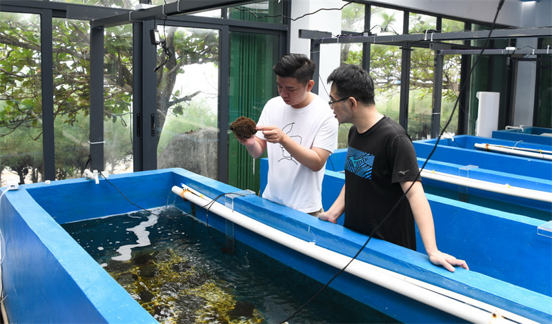 Hainan : un groupe de jeunes qui travaille pour la protection de « la mer de corail »