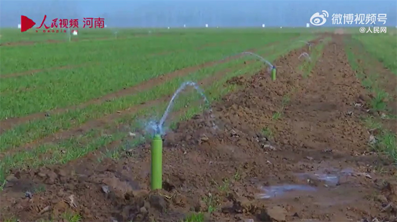 Henan : une scène d'irrigation du blé qui regorge de technologies