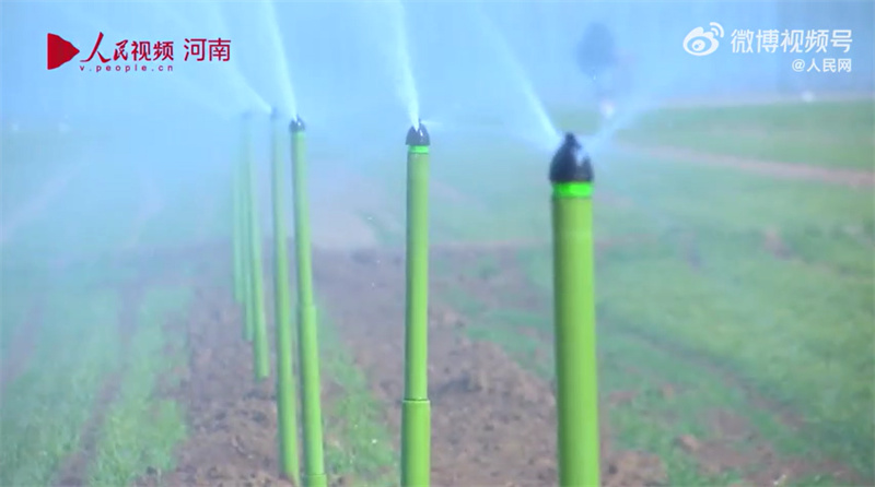 Henan : une scène d'irrigation du blé qui regorge de technologies