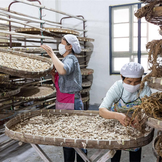 Zhejiang: l'élevage des vers à soie à Huzhou