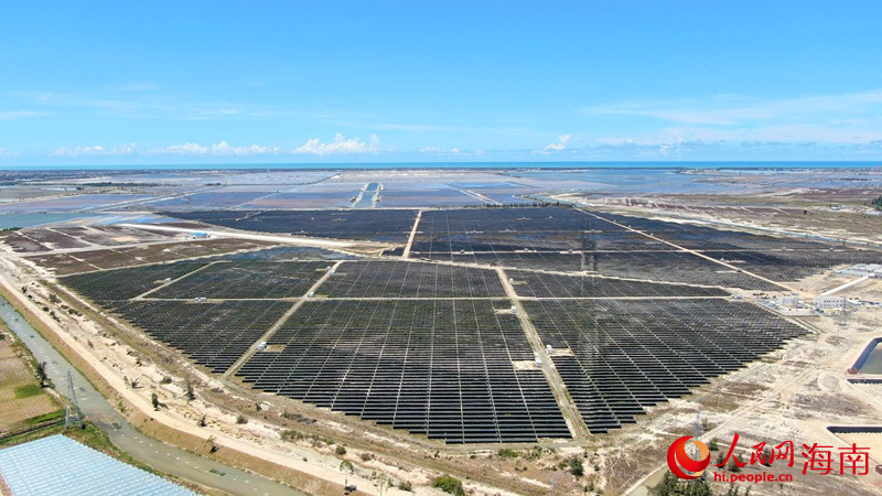 Hainan : les terres salines et alcalines autrefois abandonnées sont désormais des champs d'énergie verte