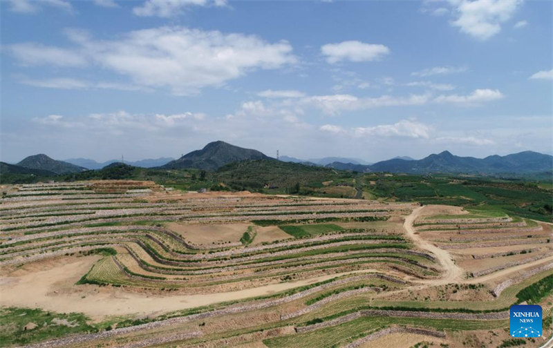 Hebei : la mise en place de l'aménagement des terres à Lulong
