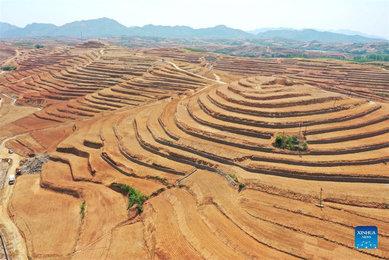 Hebei : la mise en place de l'aménagement des terres à Lulong