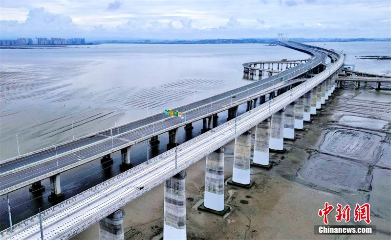 Fujian : les travaux des rails sans ballast du premier pont ferroviaire à grande vitesse de Chine enjambant la baie de Quanzhou achevés