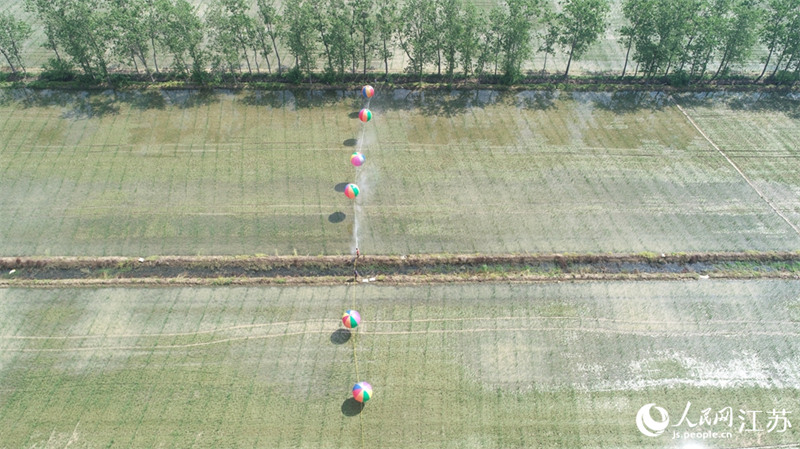 Jiangsu : la pulvérisation des pesticides par ballon