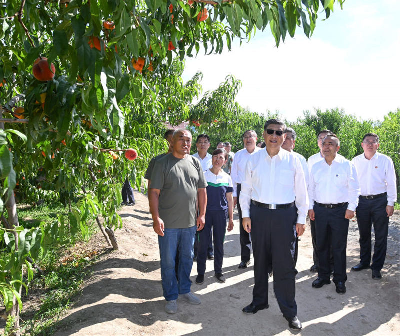 Xi Jinping inspecte la ville de Shihezi au Xinjiang